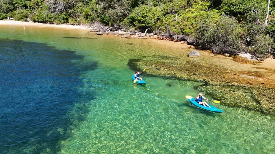 Sydney: Guided Kayak Taster Tour from Manly - Why this Manly paddle is more than a quick harbor outing