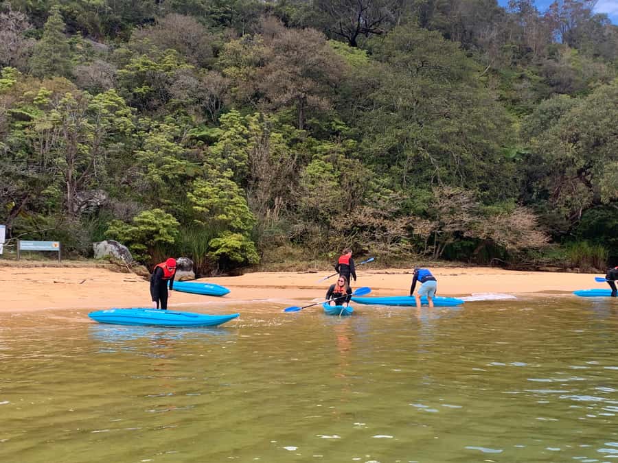 Sydney: Guided Kayak Taster Tour from Manly - Paddling along Manly’s shoreline