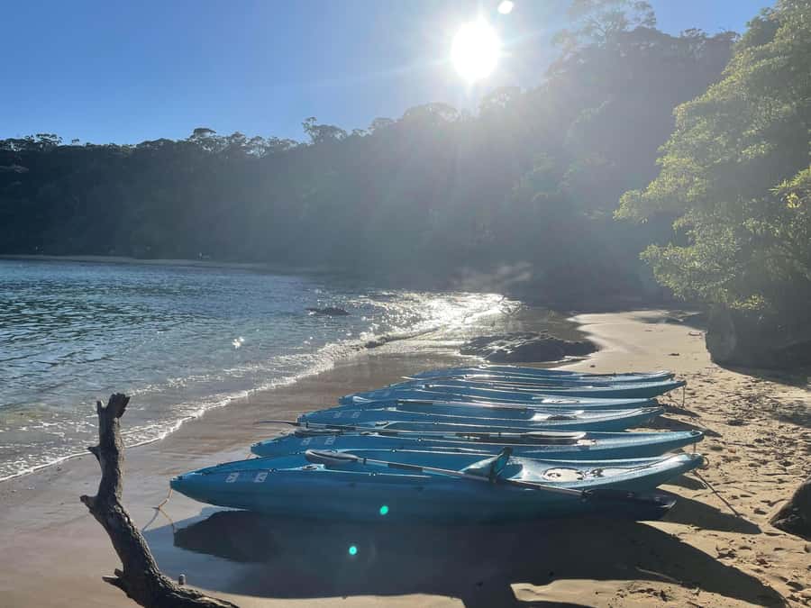 Sydney: Guided Kayak Taster Tour from Manly - Store Beach and your free time