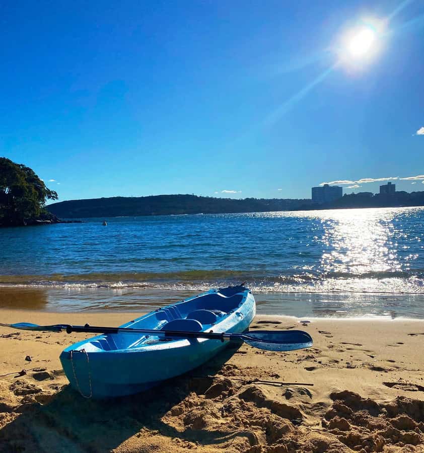 Sydney: Guided Kayak Taster Tour from Manly - Who will enjoy it most