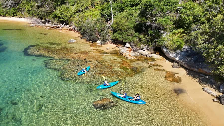 Sydney: Guided Kayak Taster Tour from Manly - Arriving at Manly Sailing