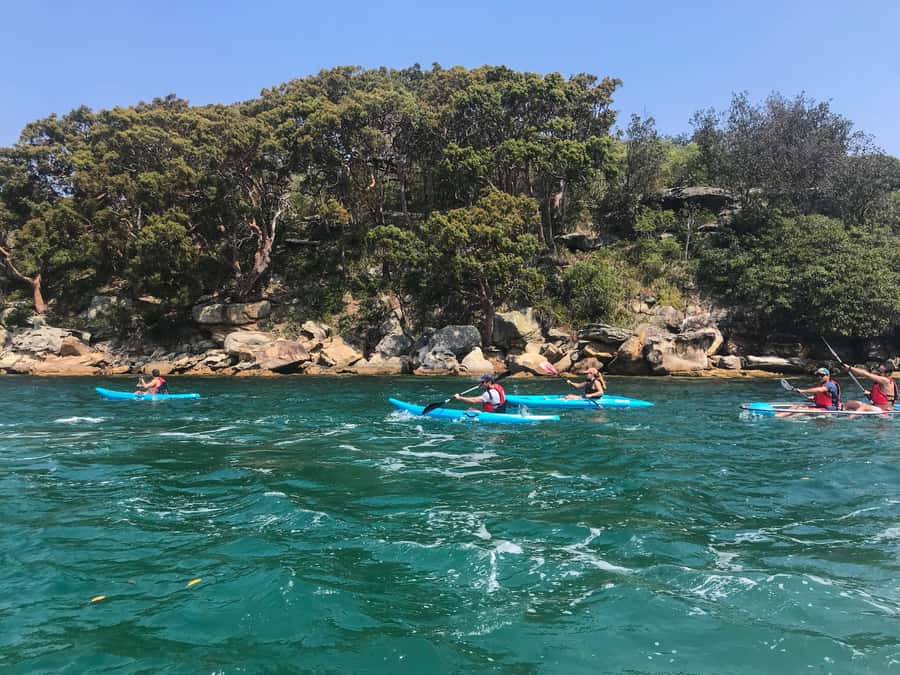 Sydney: Guided Kayak Tour of Manly Cove Beaches - Key points to know before paddling out