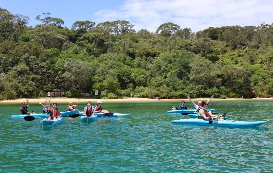 Sydney: Guided Kayak Tour of Manly Cove Beaches - Why Manly Cove is worth seeing by kayak