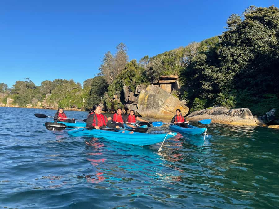 Sydney: Guided Kayak Tour of Manly Cove Beaches - Is $67 good value?