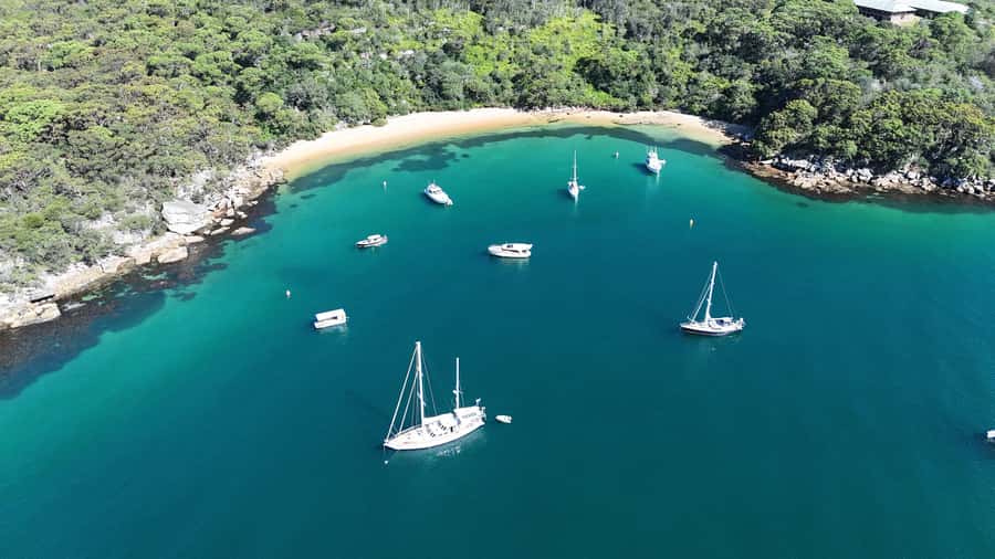Sydney: Guided Kayak Tour of Manly Cove Beaches - Who will enjoy this tour most?