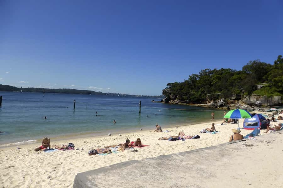 Sydney: Half-Day City Tour - Darlinghurst, Surry Hills, Chinatown, and Darling Harbour