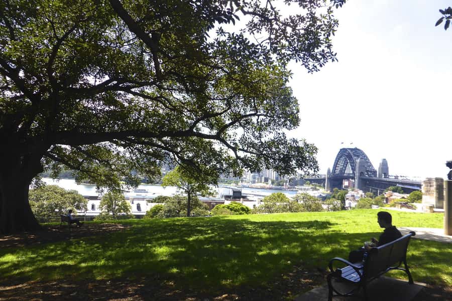 Sydney: Half-Day City Tour - The eastern bays and Sydney’s expensive addresses