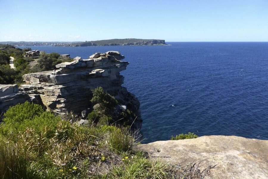 Sydney: Half-Day City Tour - Watsons Bay, Camp Cove, and The Gap