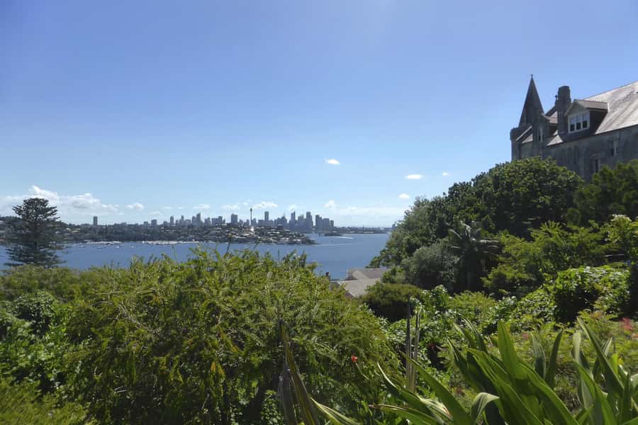 Sydney: Half-Day City Tour - Centennial Park, Woollahra, and Paddington