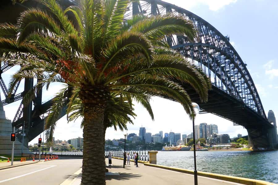 Sydney: Half-Day City Tour - Starting in The Rocks and Millers Point