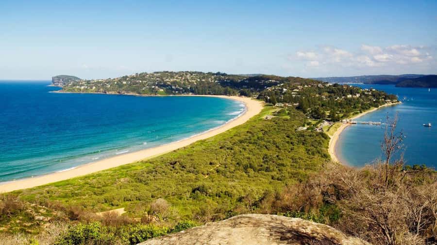 Sydney: Half-Day Private Tour of Sydney's Northern Beaches - Church Point slows the pace