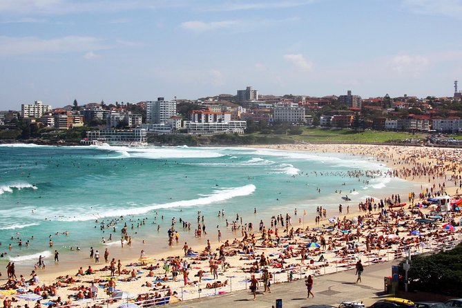 Sydney Half Day Private Tour: See Sydney Opera House and Bondi - Bondi Beach in 30 minutes