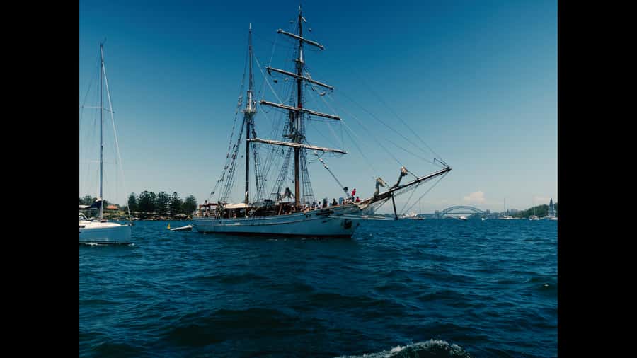 Sydney: Harbor Sunset Cruise with Dinner - Key points to know before you book