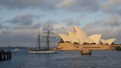 Harbor Sunset Cruise with Dinner