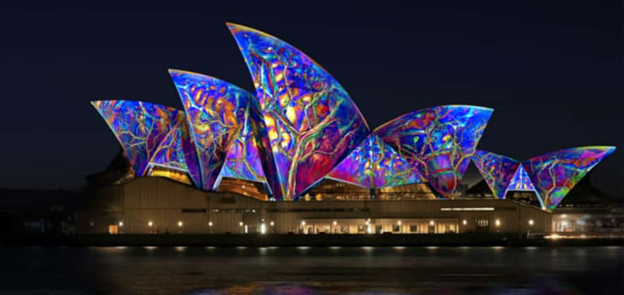 Sydney Harbour: 30 Minute Slow Jet Boat Vivid Cruise - The meeting point near Ferry Wharf No. 2
