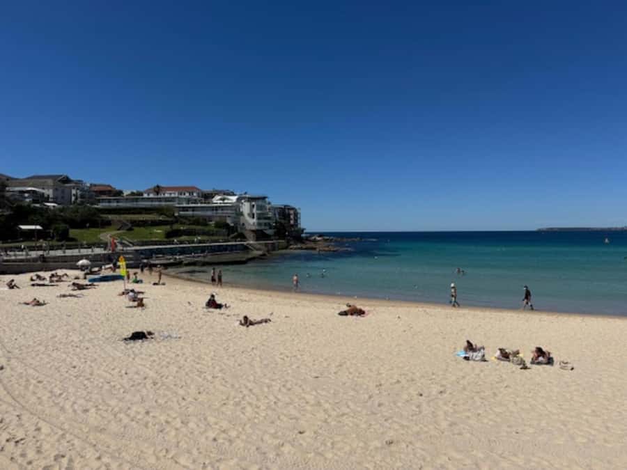 Sydney Harbour & Bondi: Morning Highlights with Breakfast - Key points at a glance