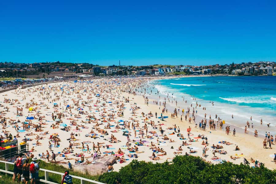 Sydney Harbour & Bondi: Morning Highlights with Breakfast - Why this five-hour morning works well