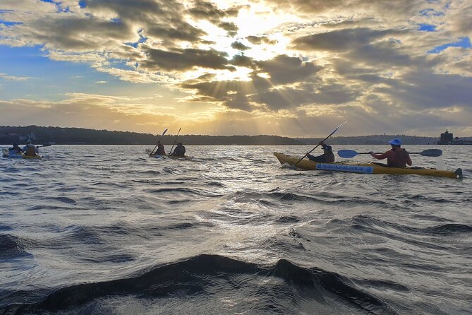 Sydney Harbour Bridge Kayak & Breakfast Tour - Why a Sydney Harbour kayak is worth your morning