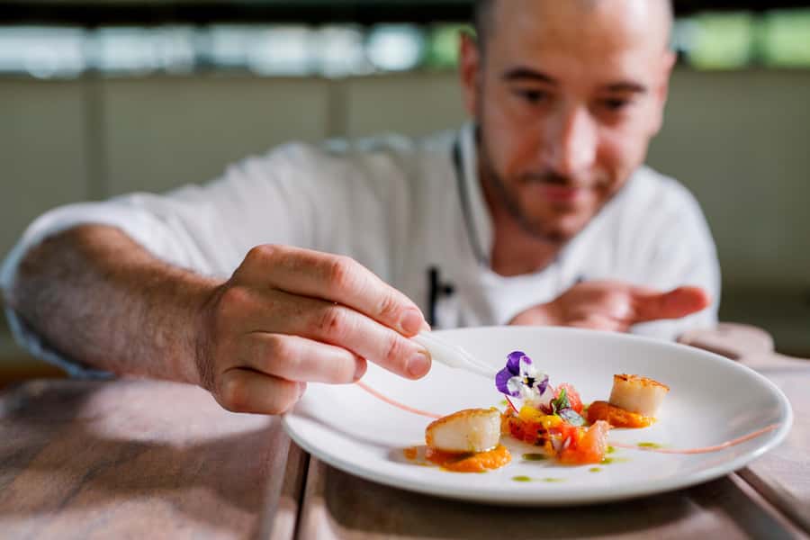 Sydney: Harbour Dinner Cruise with 3, 4 or 6-Course Menu - Departure points and timing