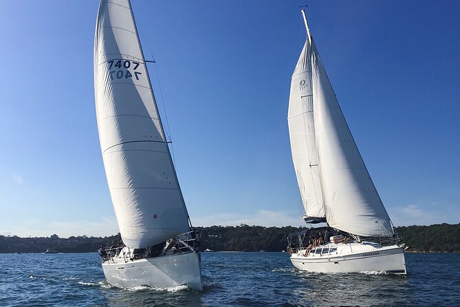Sydney Harbour Sailing Experience - Group size, comfort, and the weather question