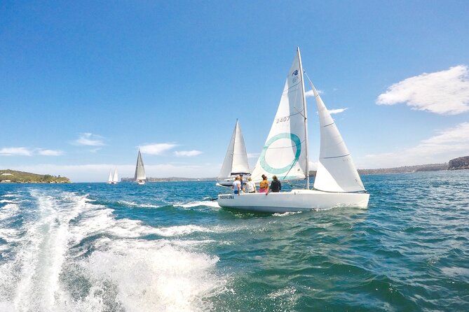 Sydney Harbour - Sailing Hands-On Experience - Who will enjoy this Manly sailing trip most