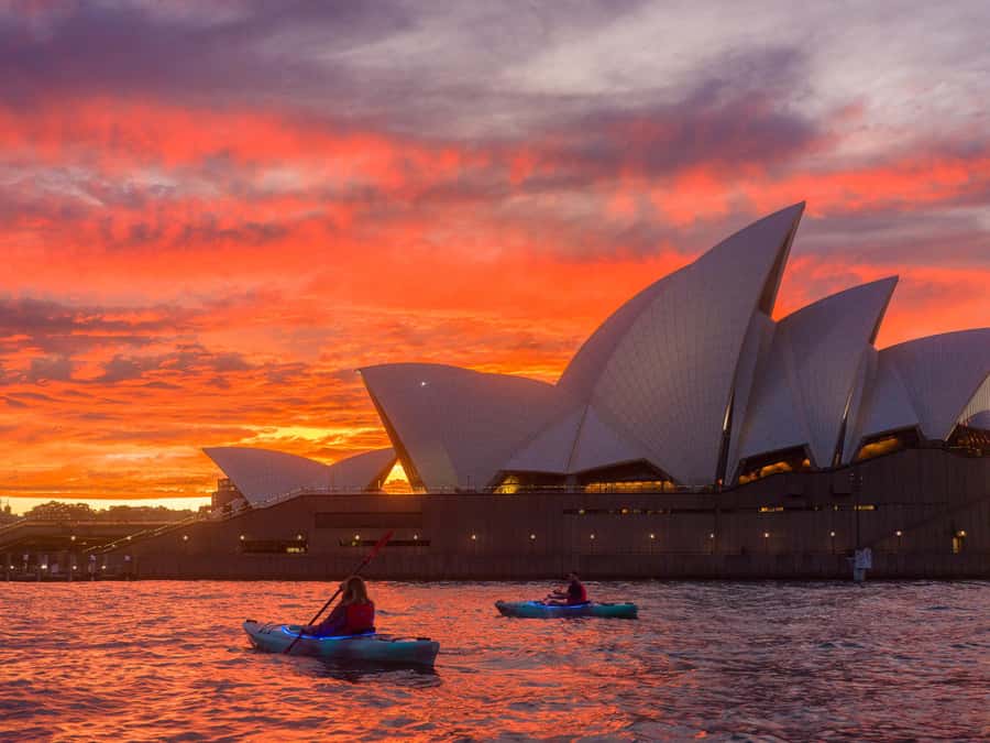 Sydney: Harbour Sunrise Kayak Tour - Coffee, pastry, and Harbour Bridge views