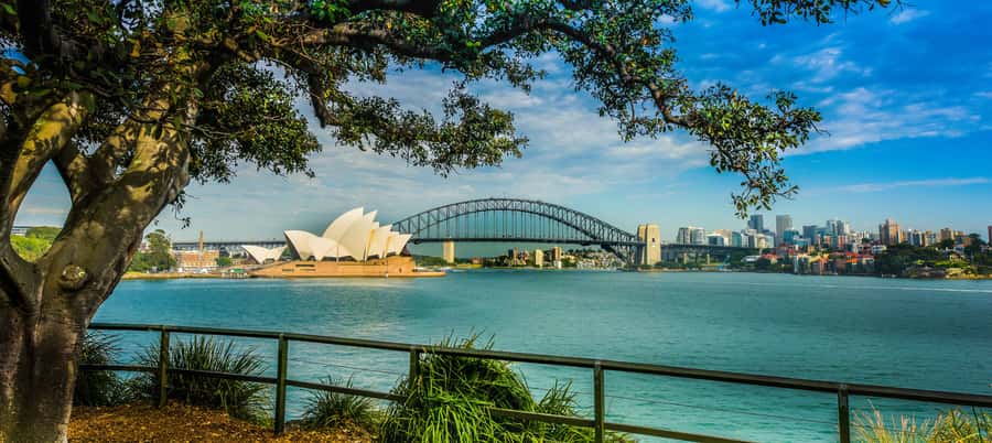 Sydney Harbour to Bondi: Small Group Half–Day Experience - From The Rocks to Bondi in four hours