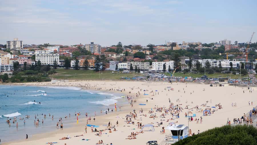 Sydney Harbour to Bondi: Small Group Half–Day Experience - Dover Heights and the return through the eastern suburbs
