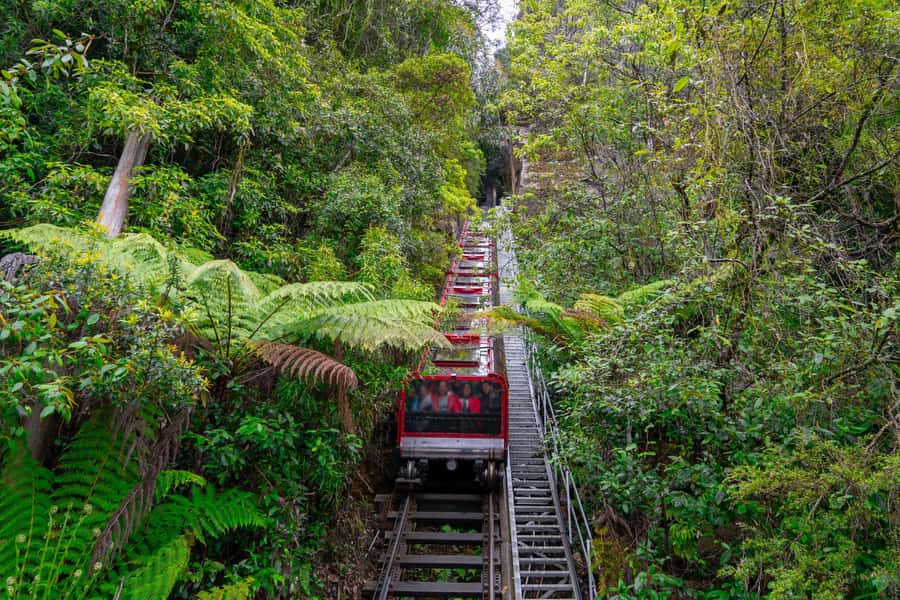 Sydney: Heritage Zig Zag Steam Train and Blue Mountains Tour - Katoomba gives you one hour for lunch