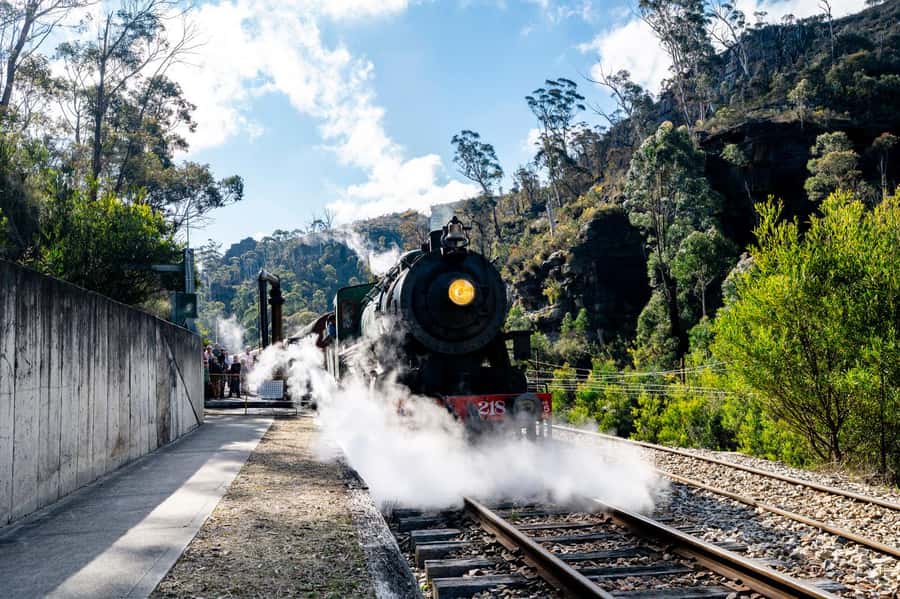 Sydney: Heritage Zig Zag Steam Train and Blue Mountains Tour - Who should book this Blue Mountains day?