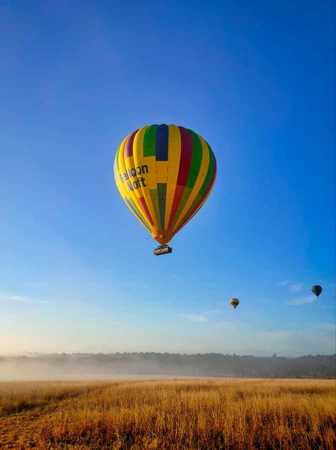Sydney: Hunter Valley Sunrise Balloon Flight with Transfer - Key points to know before booking