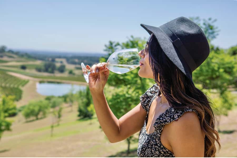 Sydney: Hunter Valley Wineries Day Trip with Food Tastings - What the winery visits are really like