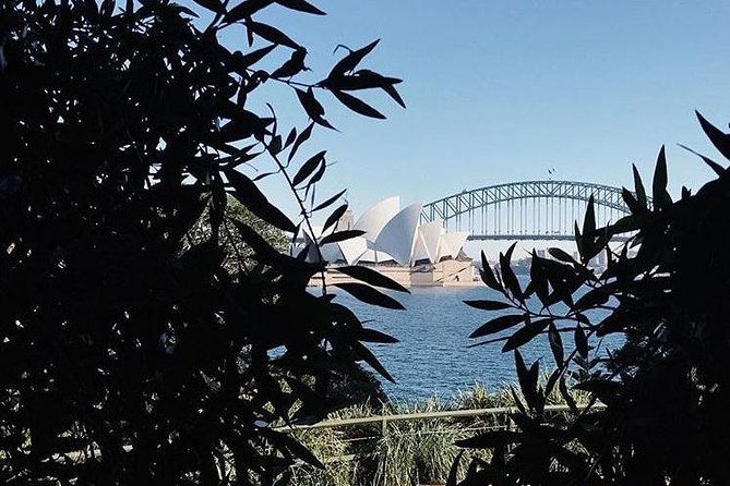 Sydney Icons & Bondi Half Day Private Tour - The Rocks and Sydney’s convict beginnings