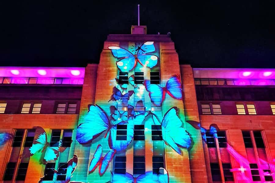 Sydney: Intimate Vivid Harbour Cruise with Canapes - The Opera House, Harbour Bridge, and Luna Park