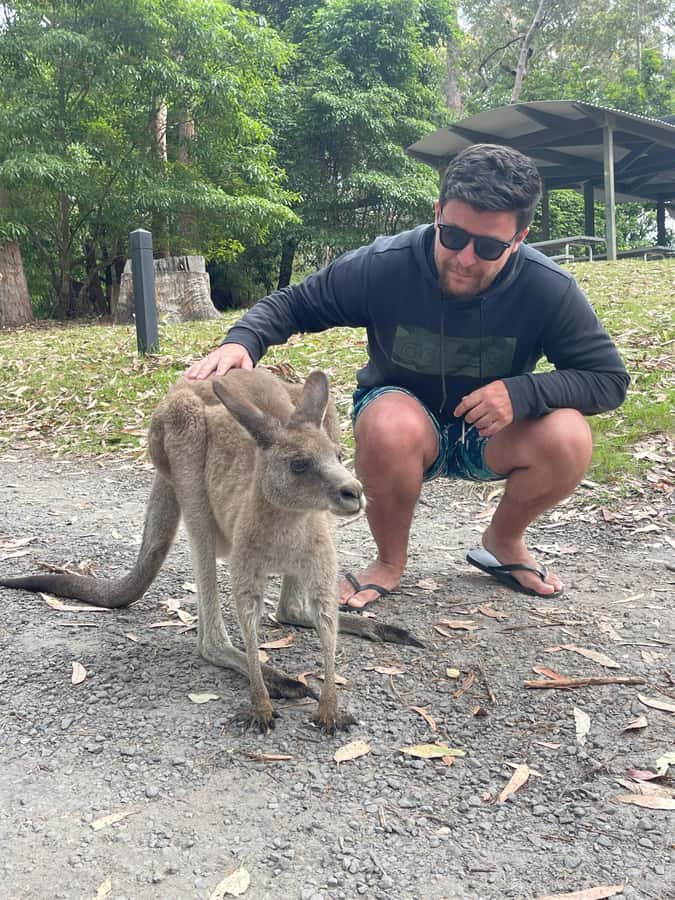 Sydney: Jervis Bay Day Trip with Dolphins, Roos & Beach Time - Kangaroos at Cave Beach in Booderee National Park
