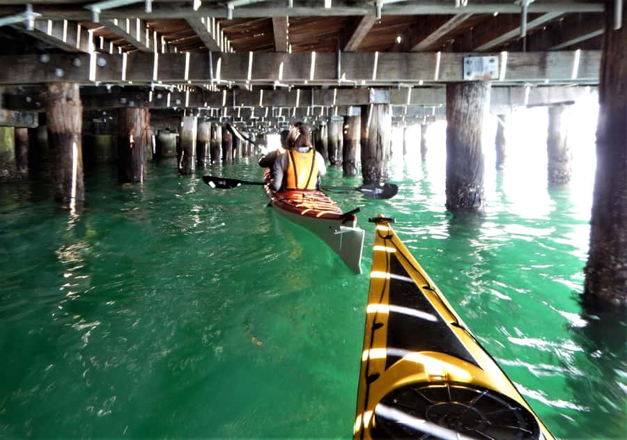 Sydney: Kayak to Goat Island At The Heart of Sydney Harbour - What the guide adds to the experience