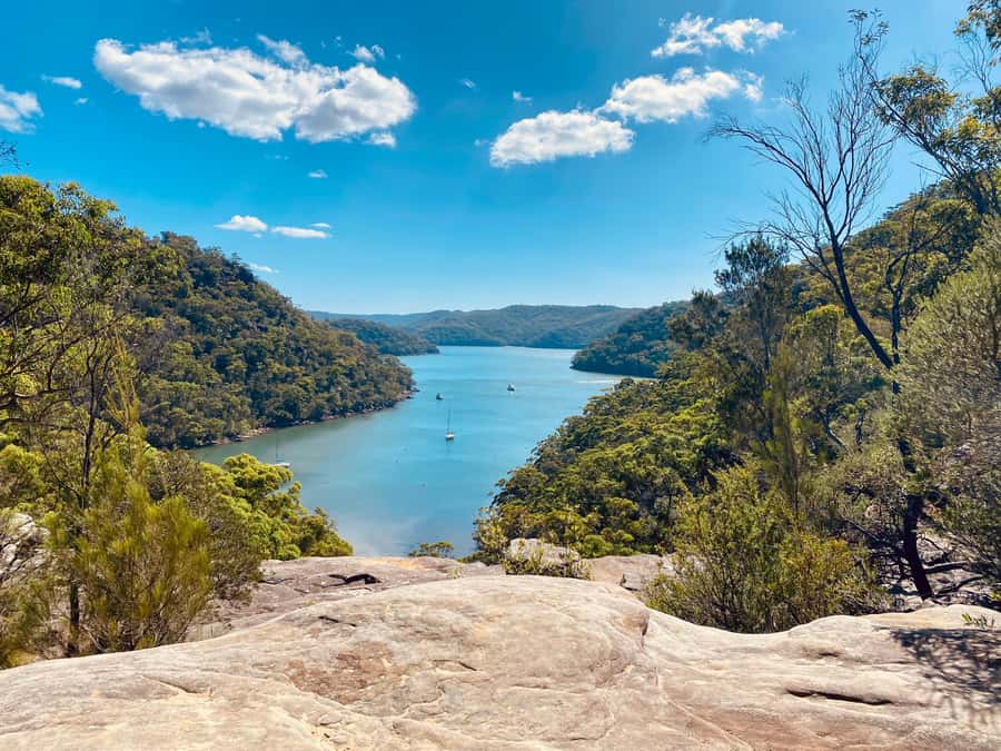 Sydney: Ku-ring-gai National Park with swim and picnic - From Sydney CBD to Ku-ring-gai Chase