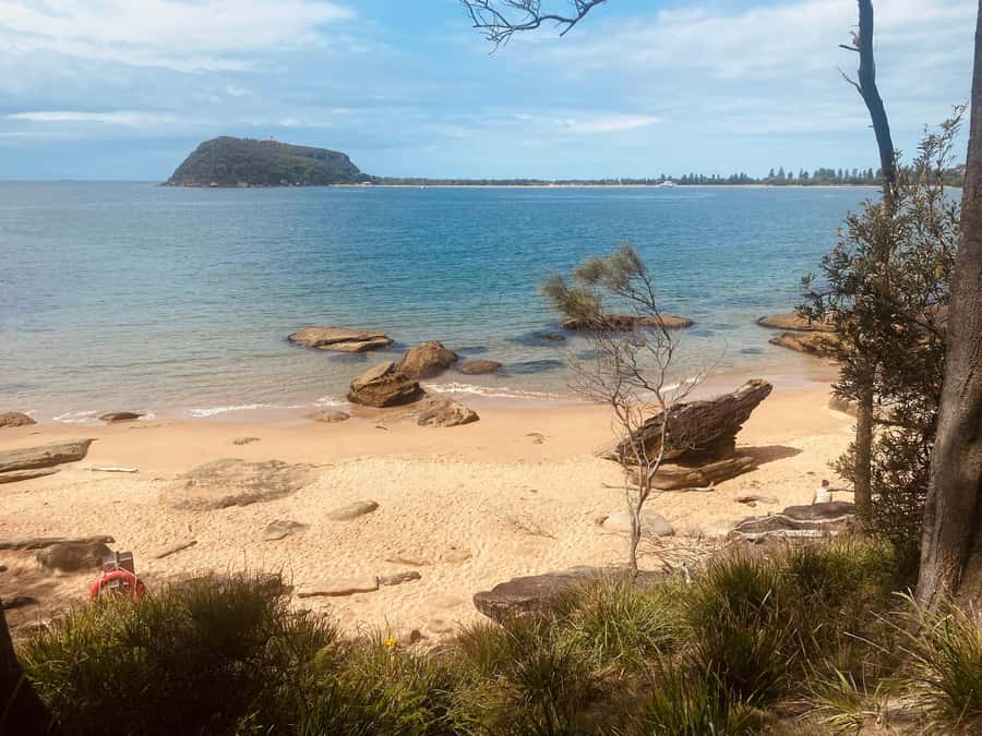 Sydney: Ku-ring-gai National Park with swim and picnic - Aboriginal rock engravings and connection to Country