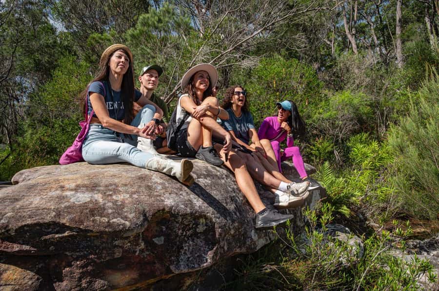 Sydney: Ku-ring-gai National Park with swim and picnic - A picnic with local food, not a rushed sandwich