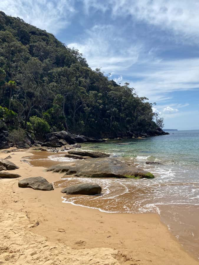 Sydney: Ku-ring-gai National Park with swim and picnic - What the $201 price covers