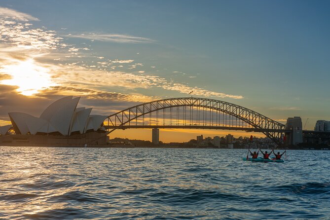 Sydney LED Lit Kayak Tour of the Opera House and Bridge - Who will enjoy this most