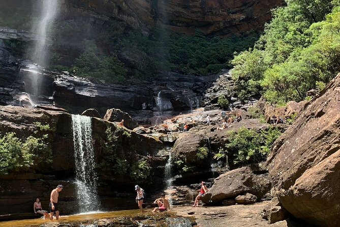 Sydney: Luxury Blue Mountains Adventure as a Small Group Day Tour - Why this tour works for a one-day Blue Mountains visit