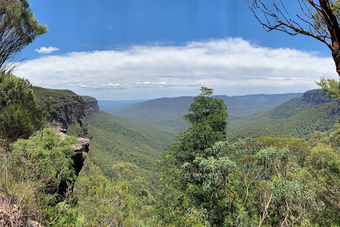 Sydney: Luxury Blue Mountains Adventure as a Small Group Day Tour - Leura Mall and the lunch decision
