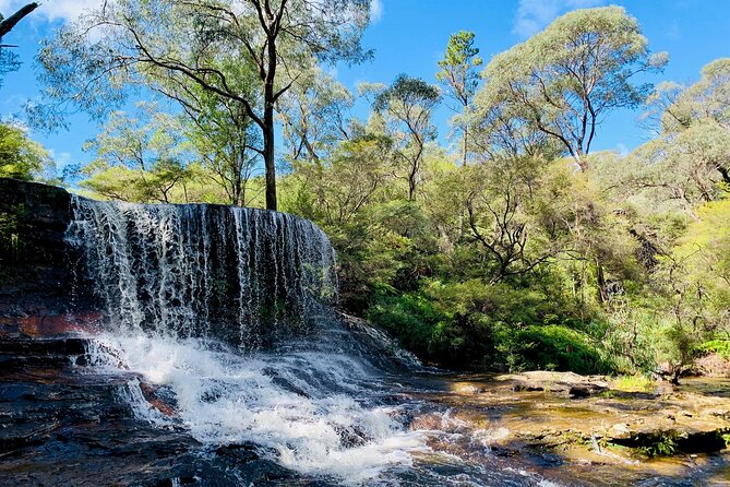 Sydney: Luxury Blue Mountains Adventure as a Small Group Day Tour - The small-group vehicle and guiding style