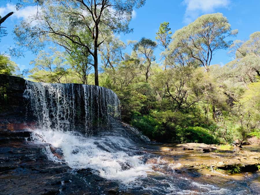 Sydney: Luxury Blue Mountains Adventure with Wentworth Falls - Key points to know before booking