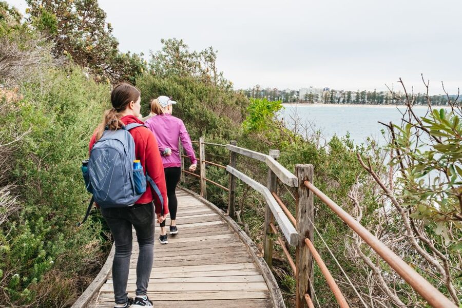 Sydney: Manly and Shelly Beach Snorkeling Tour - My final take: a strong choice for guided snorkelling near Sydney
