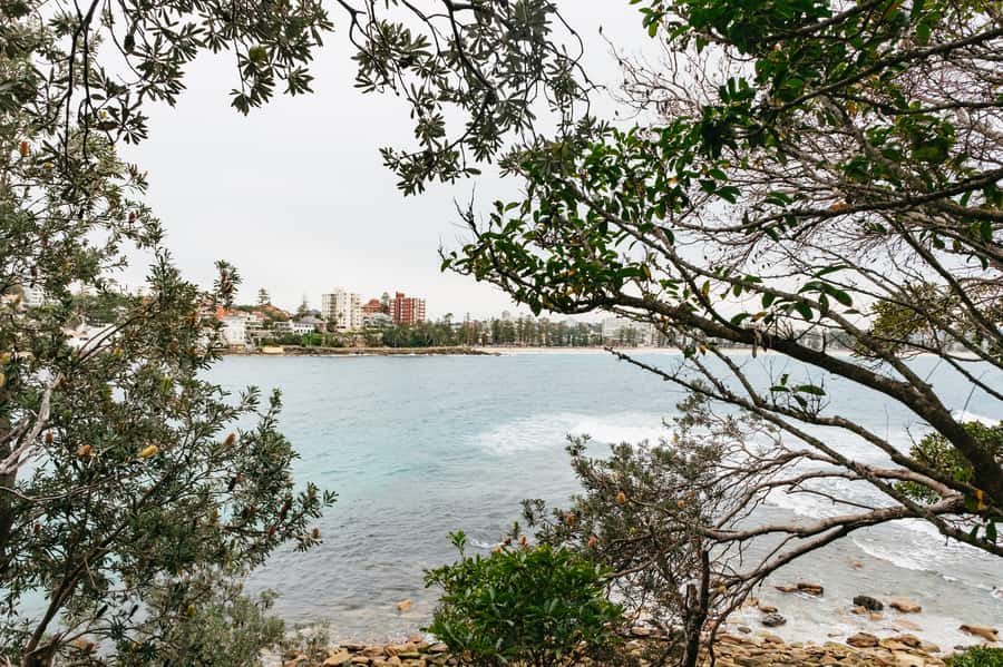 Sydney: Manly and Shelly Beach Snorkeling Tour - Who should book this experience?