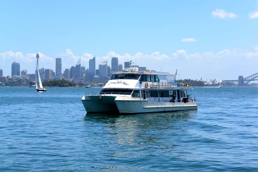 Sydney: Morning Sightseeing Bus to Bondi with Lunch Cruise - Mrs Macquarie’s Point gives you the classic postcard