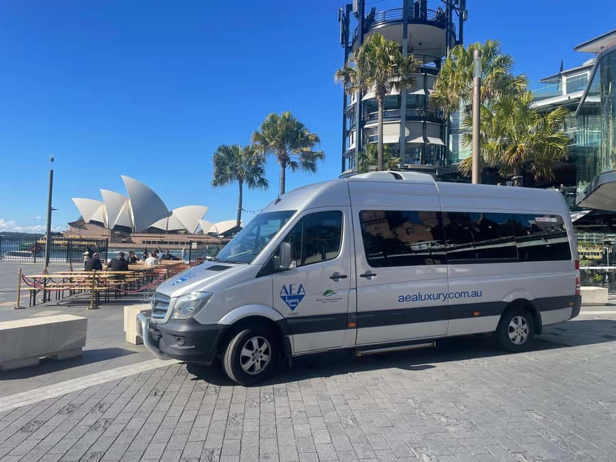 Sydney: Morning Sightseeing Bus to Bondi with Lunch Cruise - Bondi Beach is more than a passing glance