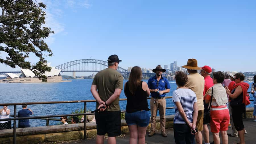 Sydney: Morning Sightseeing Bus to Bondi with Lunch Cruise - The harbour cruise changes the view completely